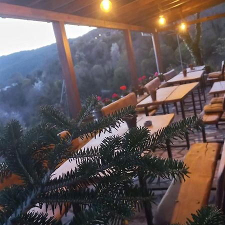 Guesthouse Selini Vitsa Dış mekan fotoğraf