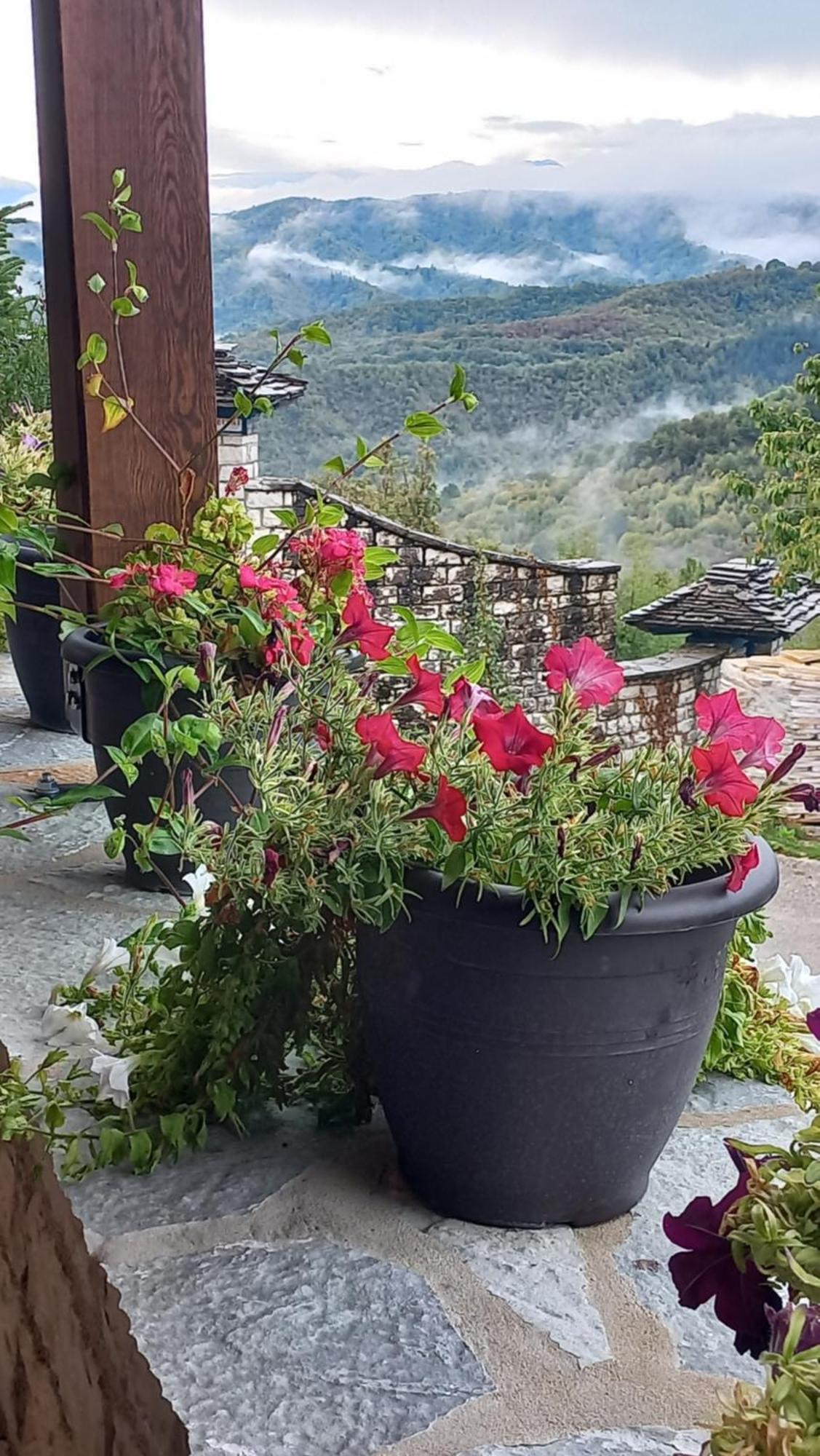Guesthouse Selini Vitsa Dış mekan fotoğraf