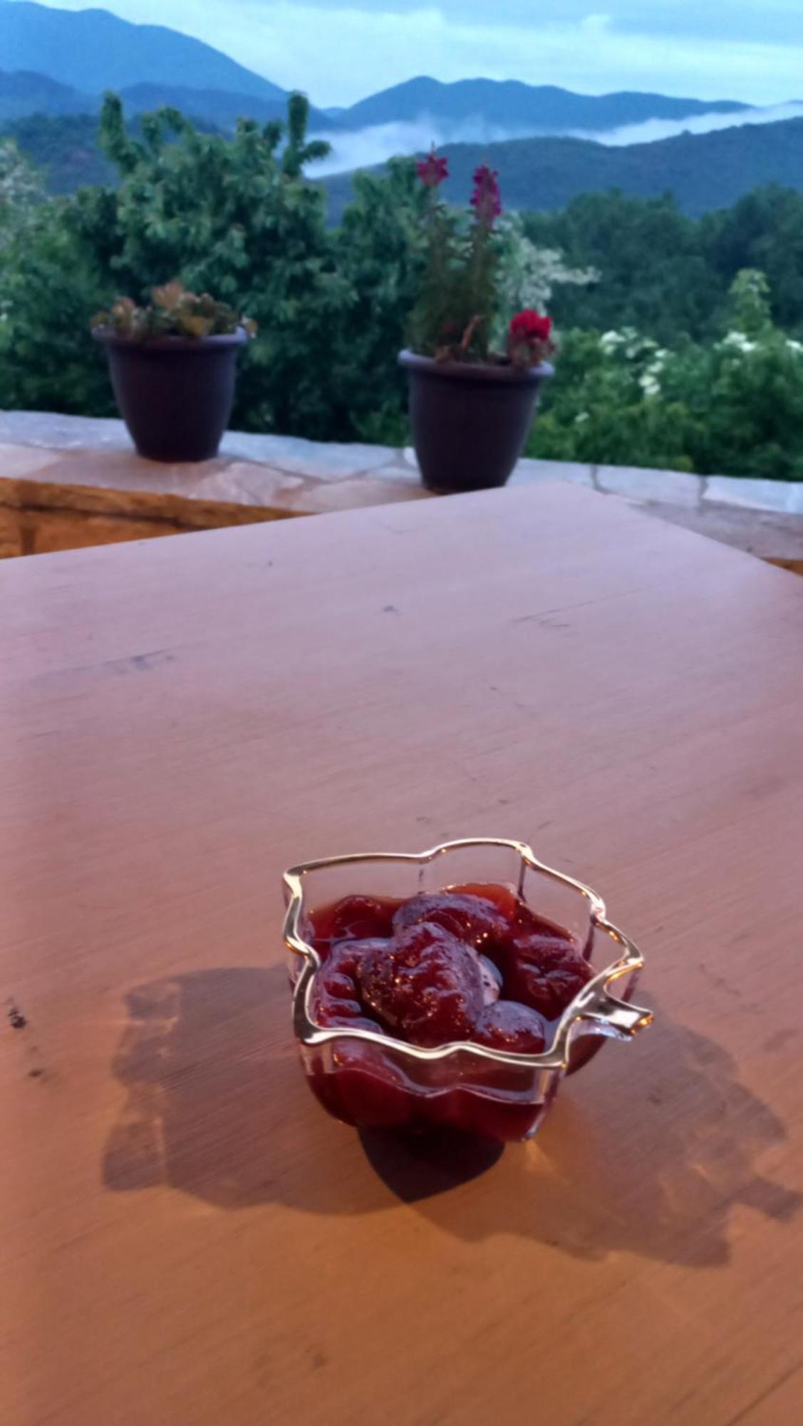 Guesthouse Selini Vitsa Dış mekan fotoğraf