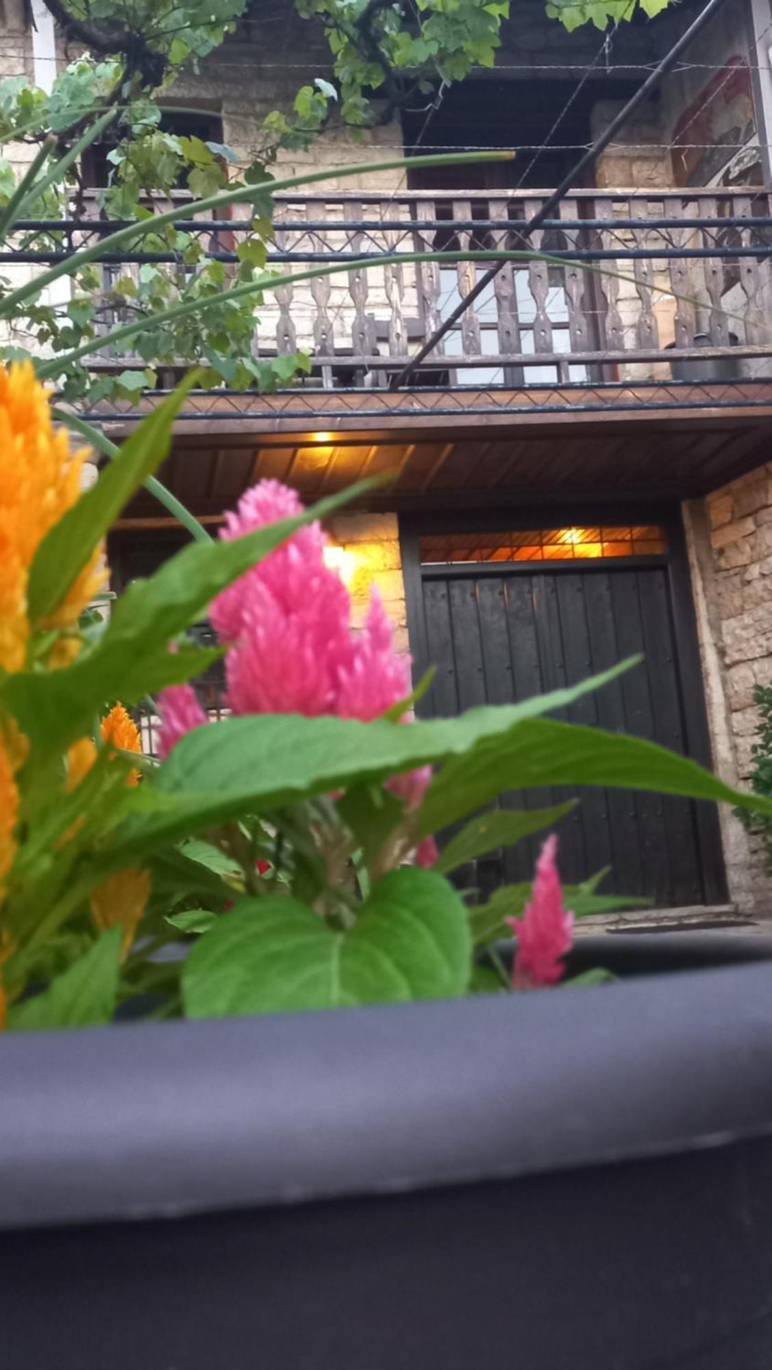 Guesthouse Selini Vitsa Dış mekan fotoğraf