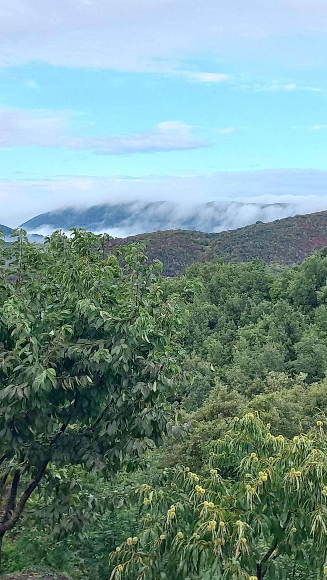 Guesthouse Selini Vitsa Dış mekan fotoğraf