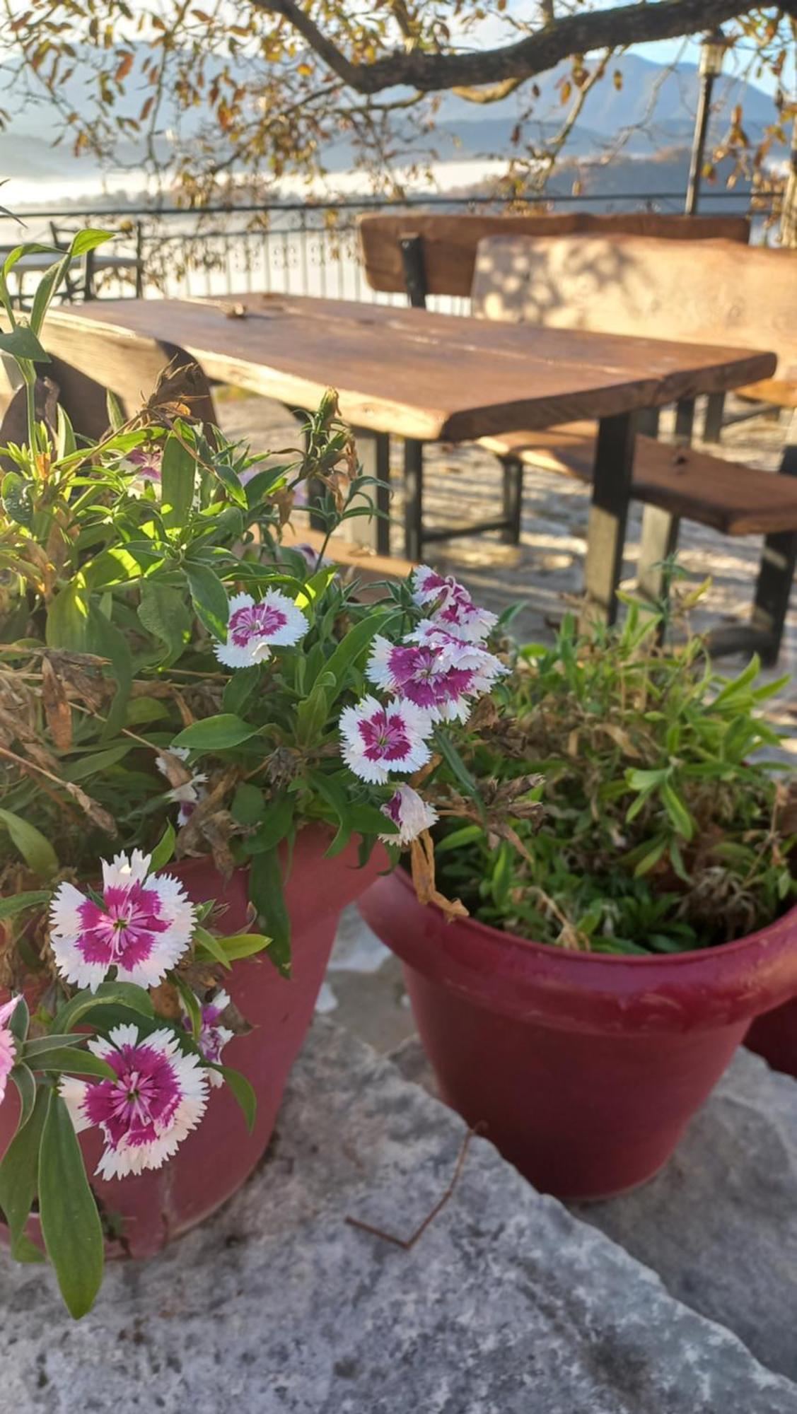 Guesthouse Selini Vitsa Dış mekan fotoğraf